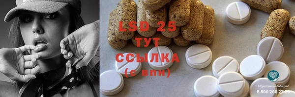 индика Белоозёрский