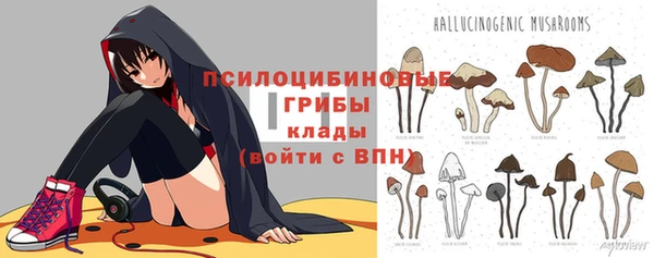 индика Белоозёрский