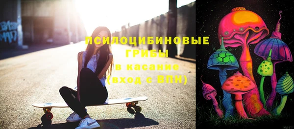 индика Белоозёрский