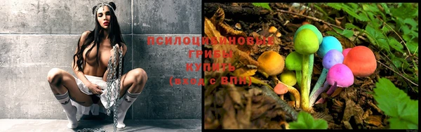 a pvp Беломорск