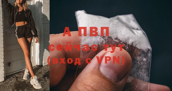 spice Белокуриха