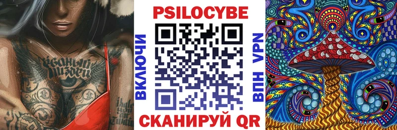 ОМГ ОМГ ТОР  Воскресенск  Псилоцибиновые грибы мухоморы 